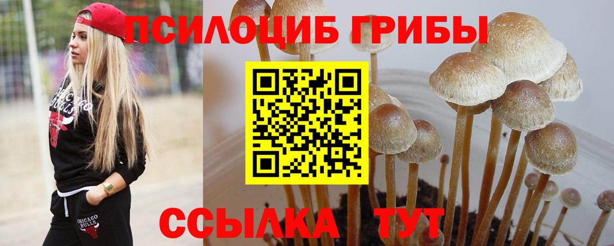 цены   Вход с VPN  Ирбит  Галлюциногенные грибы мухоморы 